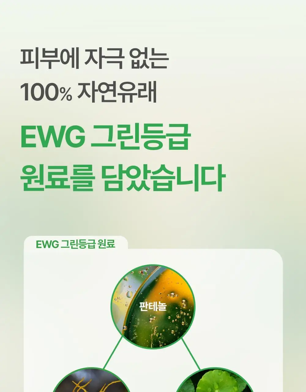 [화잘먹패드] 야다 선인장 토너패드 (본품 60매+10매 추가 증정) 상세페이지 16